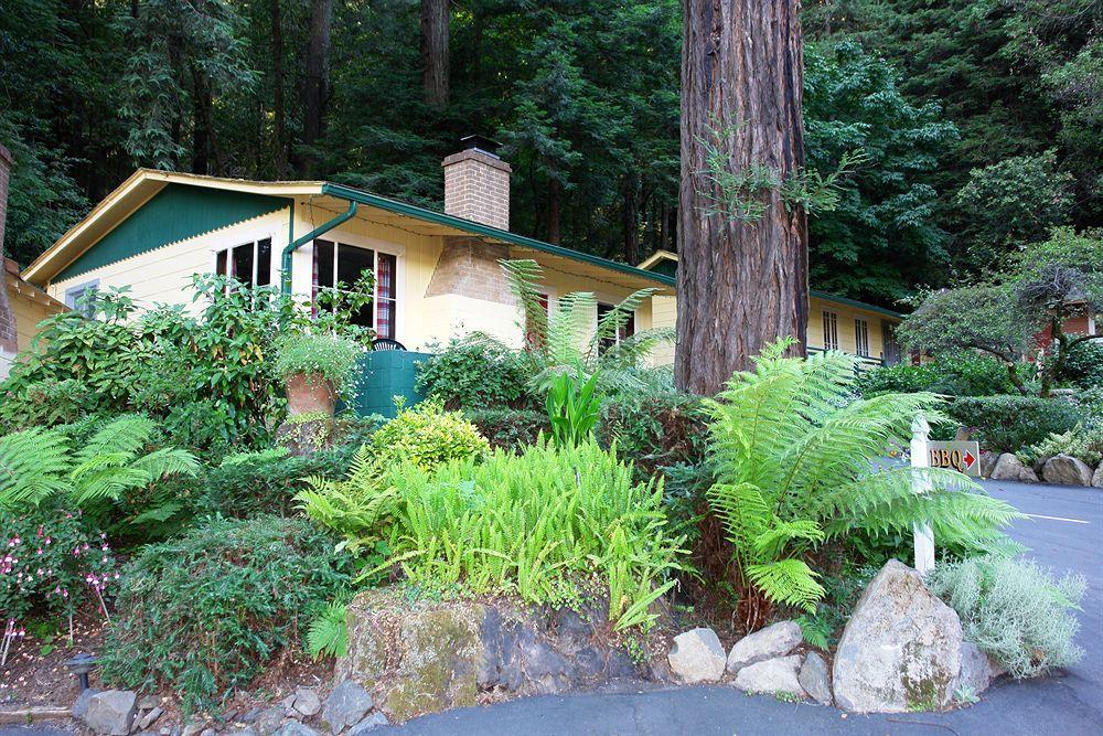 Fern Grove Cottages ガーンビル エクステリア 写真