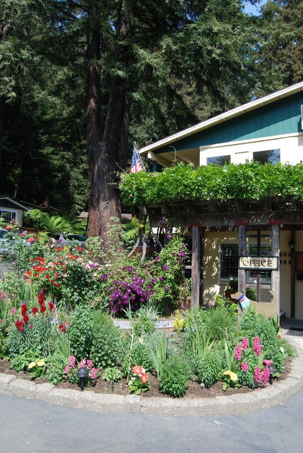 Fern Grove Cottages ガーンビル エクステリア 写真