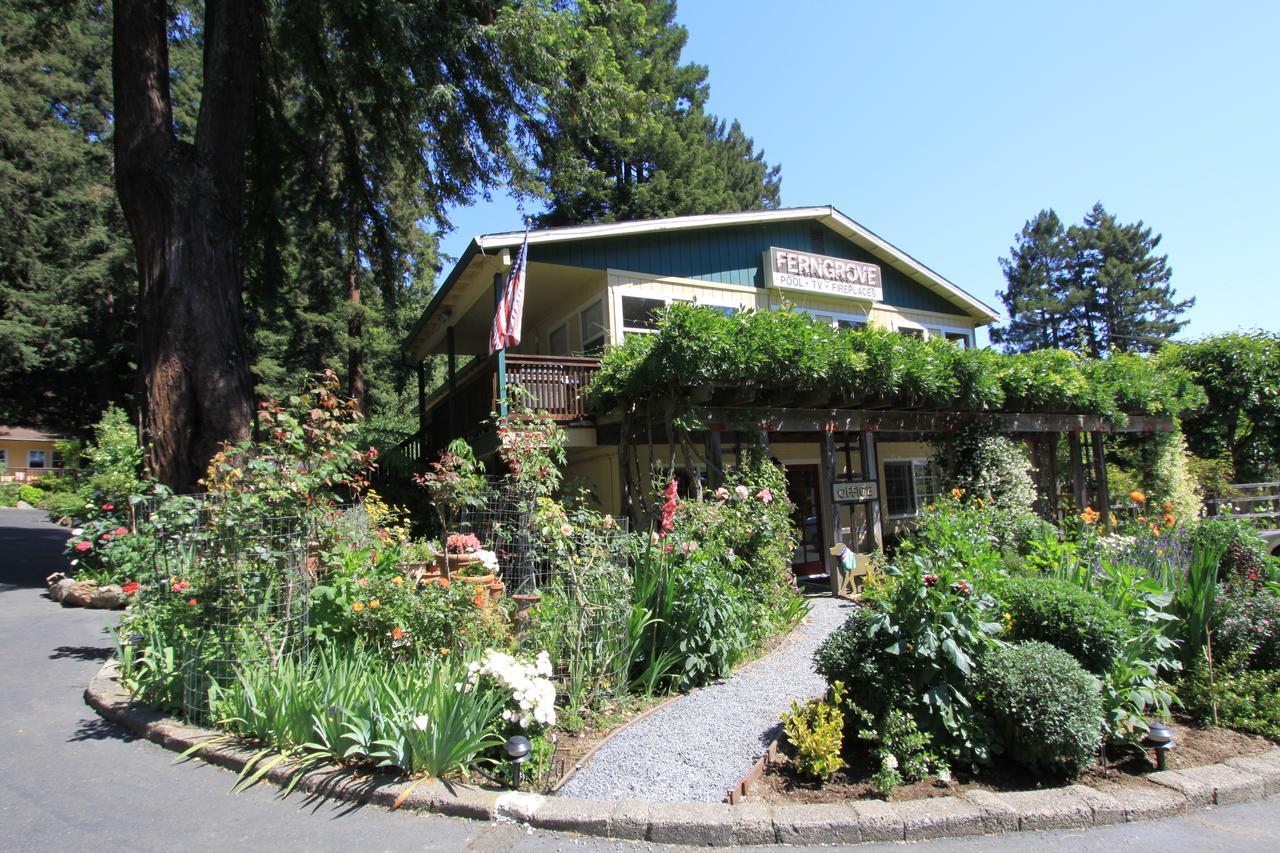 Fern Grove Cottages ガーンビル エクステリア 写真